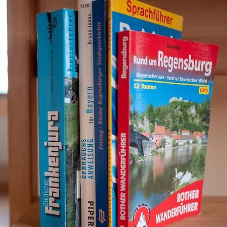 Stifterfelsen Ferienwohnung Sinzing Exterior foto